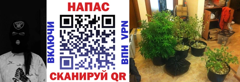 Виды наркотиков купить Ленинск-Кузнецкий omg ССЫЛКА  Мефедрон  ГАШ  Codein 