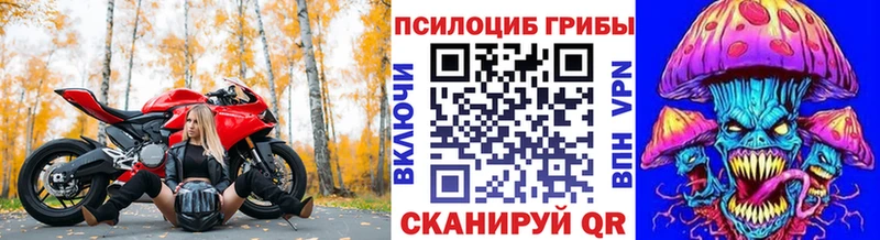 Галлюциногенные грибы мицелий Ленинск-Кузнецкий