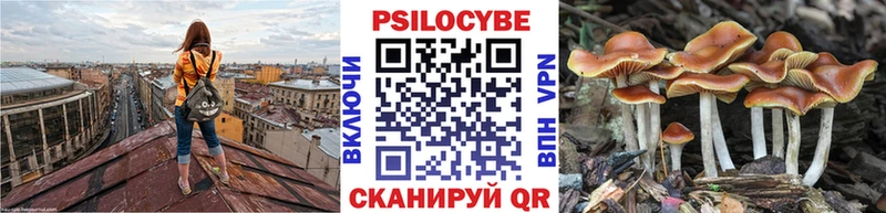 Галлюциногенные грибы Psilocybine cubensis  blacksprut ONION  Ленинск-Кузнецкий  купить  